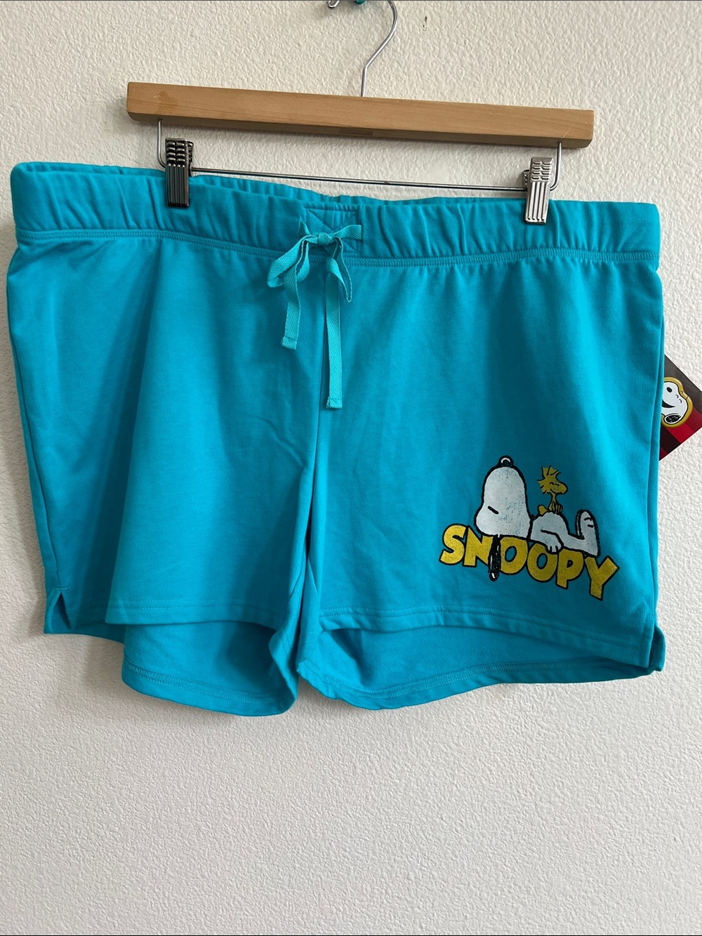 PEANUTS Snoopy & Woodstock Graphic Print Pull-On Shorts Teal/Multi Women XL